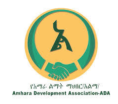 Finance manager job description what is a finance manager? Grant Finance Admin Director Job At Amhara Development Association Ada Newjobs Ethiopia