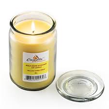 We did not find results for: 18oz Odor Eliminator Candle Soy Wax Natural Removes Odors Leaving A Clean Fresh Scent Smoke Exterminator Pet Odor Eliminating Soy Candle Made In Usa Yellow Citrus Fresh