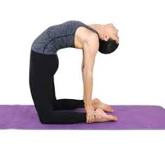 Camel pose is a classic back bending pose in yoga, named after the hump for students with insufficient lumbar spine flexibility, it is recommended to hold the hips with both hands and slowly go down to look for the knees. Paripurna Ustrasana Full Camel Pose Asana International Yoga Journal