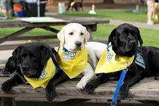 DogFest Long Island-Northeast Region