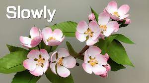 Abc Tv How To Make Apple Blossom Paper Flower With Shape Punch Slowly Craft Tutorial Youtube
