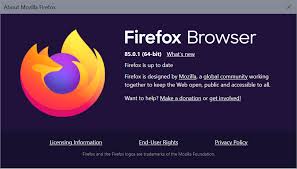 This is used in context with load balancing, in order to optimize user experience. Firefox 85 0 1 Fixes A Critical Security Issue And Bugs Now And Then News