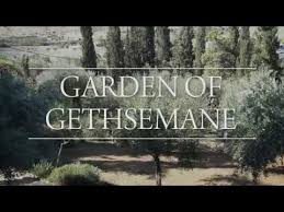 4 3 Garden Of Gethsemane Youtube Garden Of Gethsemane Garden Resurrection Sunday