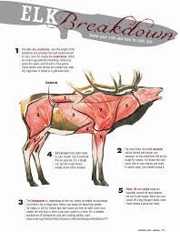 52 most popular cuts of moose chart