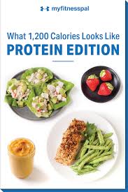 What 1 200 Calories Looks Like Protein Edition Nutrition Myfitnesspal 1200 Calorie Meal Plan Protein Meal Plan Top Healthy Foods
