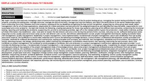 lead application analyst job cover