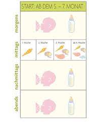 Beikost Fahrplan Ab Dem 5 Bis 7 Monat Rezepte Furs Baby Beikost Beikost Baby