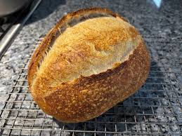 The Daily – garthmonroe