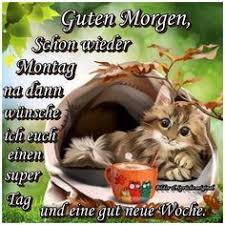 Die 100 Besten Bilder Zu Montag Montag Grusse Montag Guten Morgen Lustig