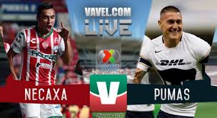 Pumas vs américa j9 liga mx. Ø§Ù„Ù…Ù„Ø§Ø­Ø¸Ø© Ø­Ø§ÙØ© Ø®ØµÙ… Pumas Vs Necaxa 2019 Online Alterazioni Org
