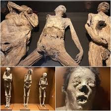 Archaeological Marvel: Discovery of Ancient Remains in Guanajuato Tomb |  Facebook