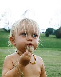 Julia Ashwood's World of Wanderlust (with kids)