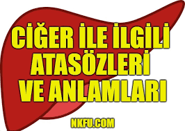 Ciger Ile Ilgili Atasozleri Ve Anlamlari Nkfu