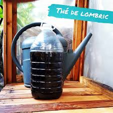 Le thé de lombric ou jus de lombric. C'est le liquide à récupérer  directement dans le fond du lombricomposteur.… | Permaculture,  Vermicomposting, Kitchen appliances