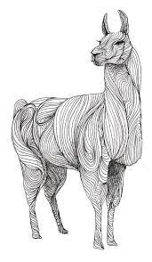 Lamas Maniacs Images Lama Dessin Bijou Inca