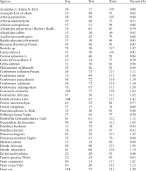 Image result for Vernonia ischnophylla