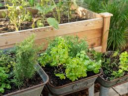 A garden that's so beautiful that you almost want to live in it 24 hours a day. Planning And Planting An Herb Garden