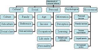 Consumer Behaviour In Emerging Markets Springerlink