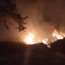 Continúan activos 7 incendios en cdmx. Se Registro Fuerte Incendio En El Cerro De La Estrella En Cdmx