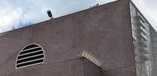 Bird Abatement ISDS PROJECT