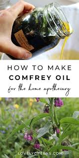 So be prepared to hold your nose. How To Use And Make Comfrey Oil And Why It S Controversial Lovely Greens