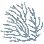 Abby Rayo and Joel Flores' Wedding Website