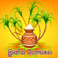 Happy Pongal In The Tamil Language Happy Pongal Wishes Happy Pongal Happy Anniversary Wishes
