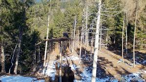 Bildergebnis für FOTOGRAFICO OSSERVATORIO