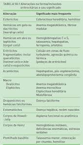 medicinanet