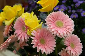 Miss daisy's flowers and gifts proudly serves bordentown and surrounding areas. Art Floral Shoppe In Middletown Grew Out Of Owner S Teen Romance