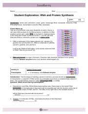 Cyclohexamine inhibits peptidal transferase activity in eukaryotes while chlorophenicol inhibits. Gizmo 5 Rna And Protein Synthesis July 2017 Doc Name Date Student Exploration Rna And Protein Synthesis App Vocabulary Amino Acid Anticodon Codon Course Hero