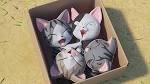 こねこのチー　ポンポンらー大冒険