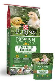 medicated chick poultry feed purina