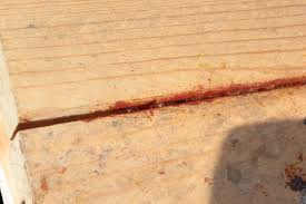 Video shows what propolis means. Propolis Wikipedia