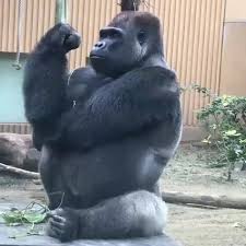  Poppey Poppey949 Profil Pinterest