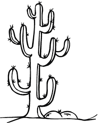 Print out these cactus coloring pages, let the kids color and use the time to teach some amazing science facts and great life lessons. Cactus Coloring Sheet Coloring Home