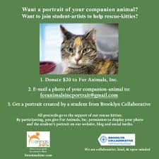 Adopters can spend time with a cat or kitten (and the occasional dog) and go home with their new furry friend the very same day. News Events For Animals Inc