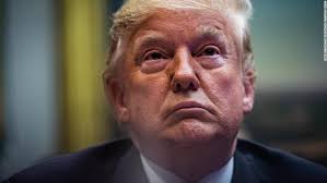 Steven Wunder (@stewunder)