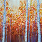 Birch Grove at Sunset event image
