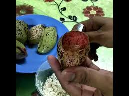 0 ratings0% found this document useful (0 votes). 8 34 Mb Resepi Lemang Periuk Kera Pukyuk Pitcherplant Download Lagu Mp3 Gratis Mp3 Dragon