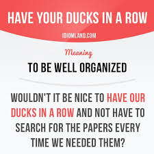 Have Your Ducks In A Row Means To Be Well Organized Example Wouldn T It Be Nice To Have Our D English Vocabulary Words English Idioms Idioms And Phrases