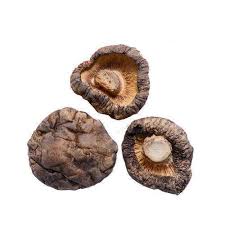 You should replace the casing with your new jars after your second flush, and put the how long to dey mushrooms damp rid? 1 Kg Dried Mushrooms At Rs 70 Kilogram Dried Mushroom Id 15419798388