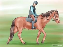 Definition, rechtschreibung, synonyme und grammatik von 'galoppieren' auf duden online nachschlagen. Mit Einem Pferd Galoppieren Mit Bildern Wikihow