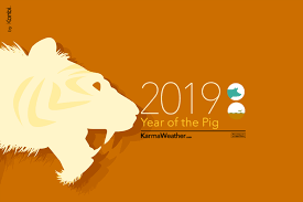 Tiger 2019 Chinese Horoscope Tiger 2019 Predictions Karmaweather Year Of The Tiger Chinese Zodiac Tiger Tiger Zodiac