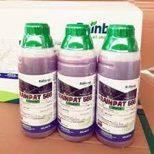 Racun jenis sentuh mengakibatkan pertumbuhan semula rumpai yang cepat dan perlu meracun sehingga 6 pusingan setahun. Racun Rumpai Rumput Cepat Mati 1litre Shopee Malaysia