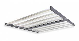 Direct comparison of bml spydr 1200 led and double ended hps harvest. Best Leds Fluence Spydrxplus V Horticulture Hlg 550 International Cannagraphic Magazine Forums