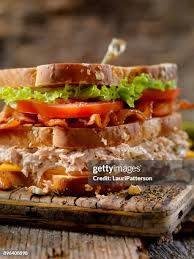Image result for tbn:PrtsmamH2gogrM::www.designcommandcenter.com/photography/ClubSandwich.jpg