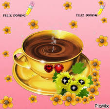 Risultati immagini per bom domingo