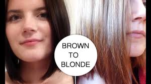With hints of gold and mahogany for the perfect layered brown, this cozy shade will have you reaching for a sweater and ready to curl up by a fireplace. How I Went From Dark Brown To Medium Honey Blonde Youtube