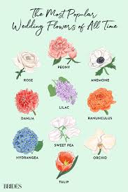 The 10 Most Popular Wedding Flowers Of All Time In 2020 Wedding Flower Types Popular Flowers Spring Wedding Flowers